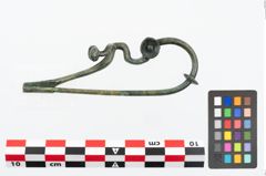 Foto von Bronzeschlangenfibel (NHMW-PRAE-025676)